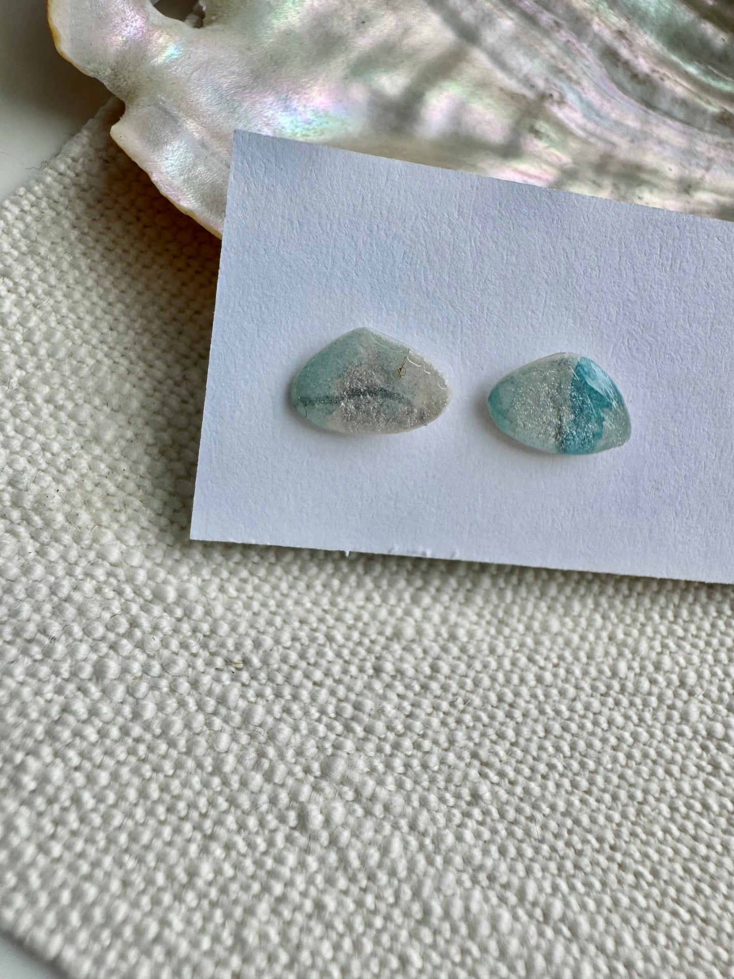 Oyster Shell Collection: Shell Buttons